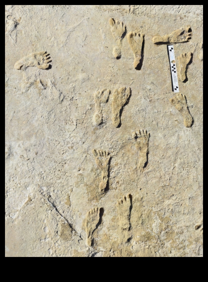 מורשת דרך ארץ: התחקות אחר עקבות ההיסטוריה