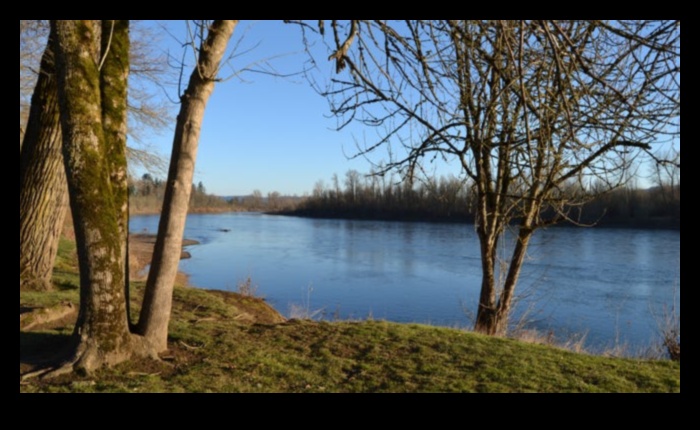 נציגי חזית הנהר: תרגילי חוץ לאורך נתיבי מים ציוריים