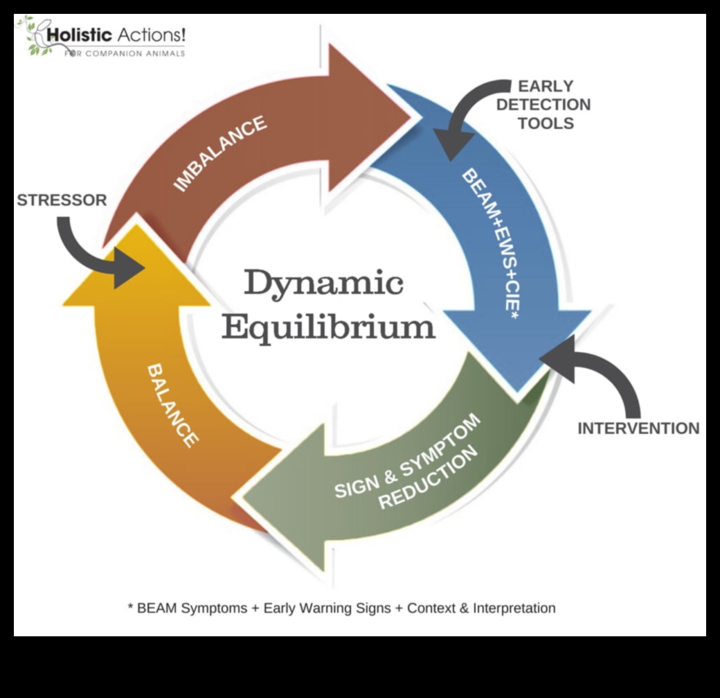 שיווי משקל דינמי: הגדל את הכושר שלך עם אימוני יציבות