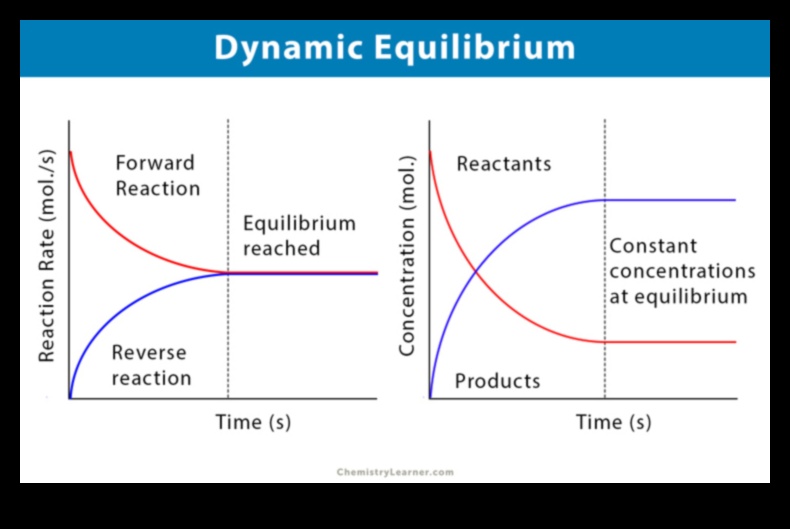 שיווי משקל דינמי: הגדל את הכושר שלך עם אימוני יציבות
