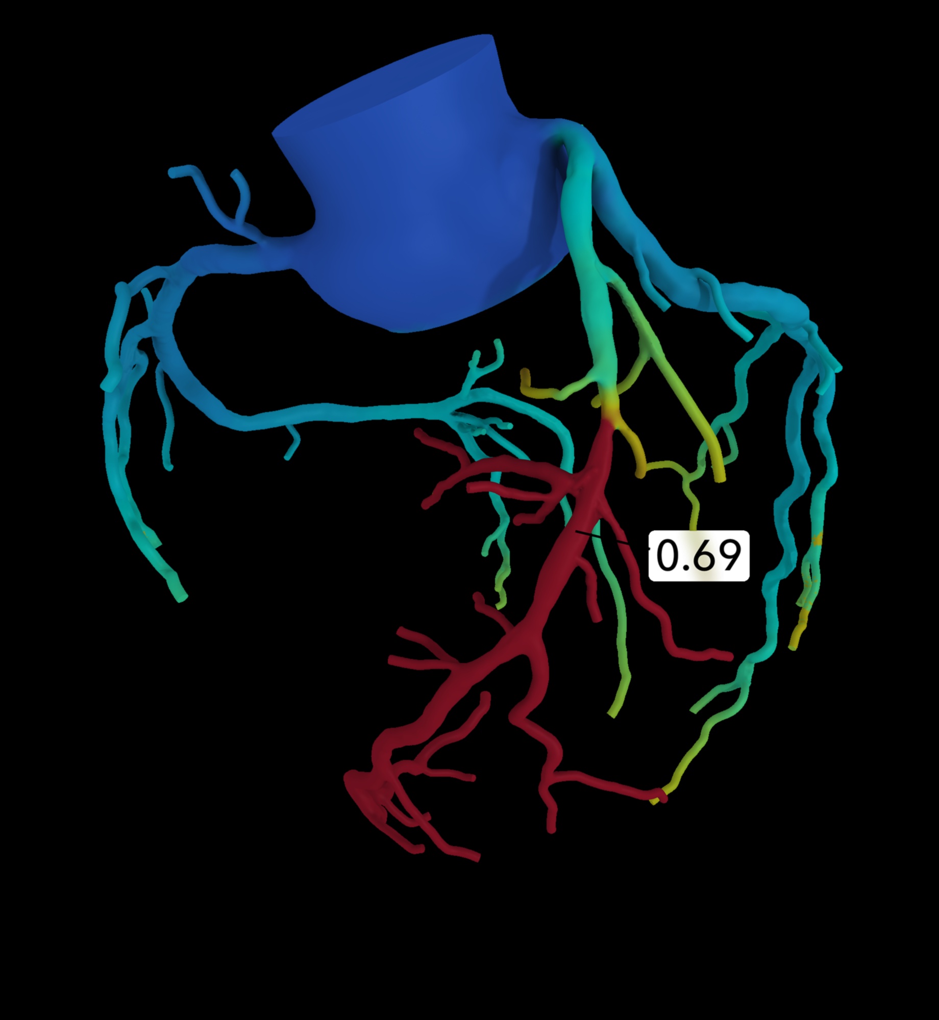 מהפכת הדופק: מצוינות קרדיווסקולרית מוגדרת מחדש
