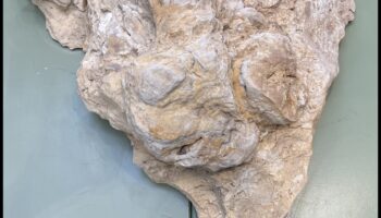 מורשת דרך ארץ: התחקות אחר עקבות ההיסטוריה