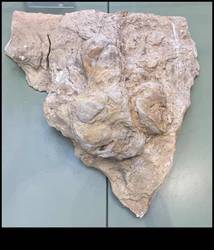 מורשת דרך ארץ: התחקות אחר עקבות ההיסטוריה