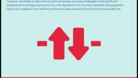 שיווי משקל דינמי: הגדל את הכושר שלך עם אימוני יציבות