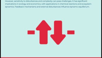 שיווי משקל דינמי: הגדל את הכושר שלך עם אימוני יציבות