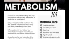 שליטה מטבולית: כיצד פעילות גופנית מגבירה את היעילות הקלורית של הגוף שלך