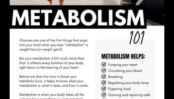 שליטה מטבולית: כיצד פעילות גופנית מגבירה את היעילות הקלורית של הגוף שלך